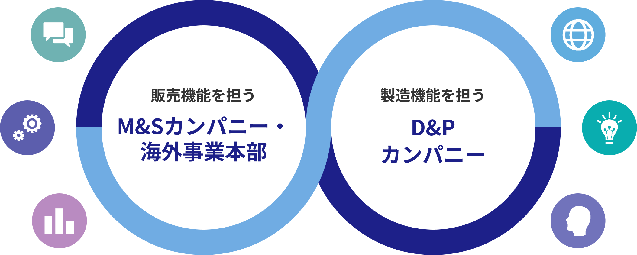 販売機能を担うM＆Sカンパニー・海外事業本部 製造機能を担うD&Pカンパニー