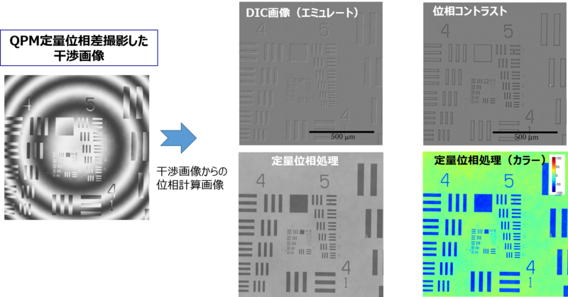 QPM定量位相撮像