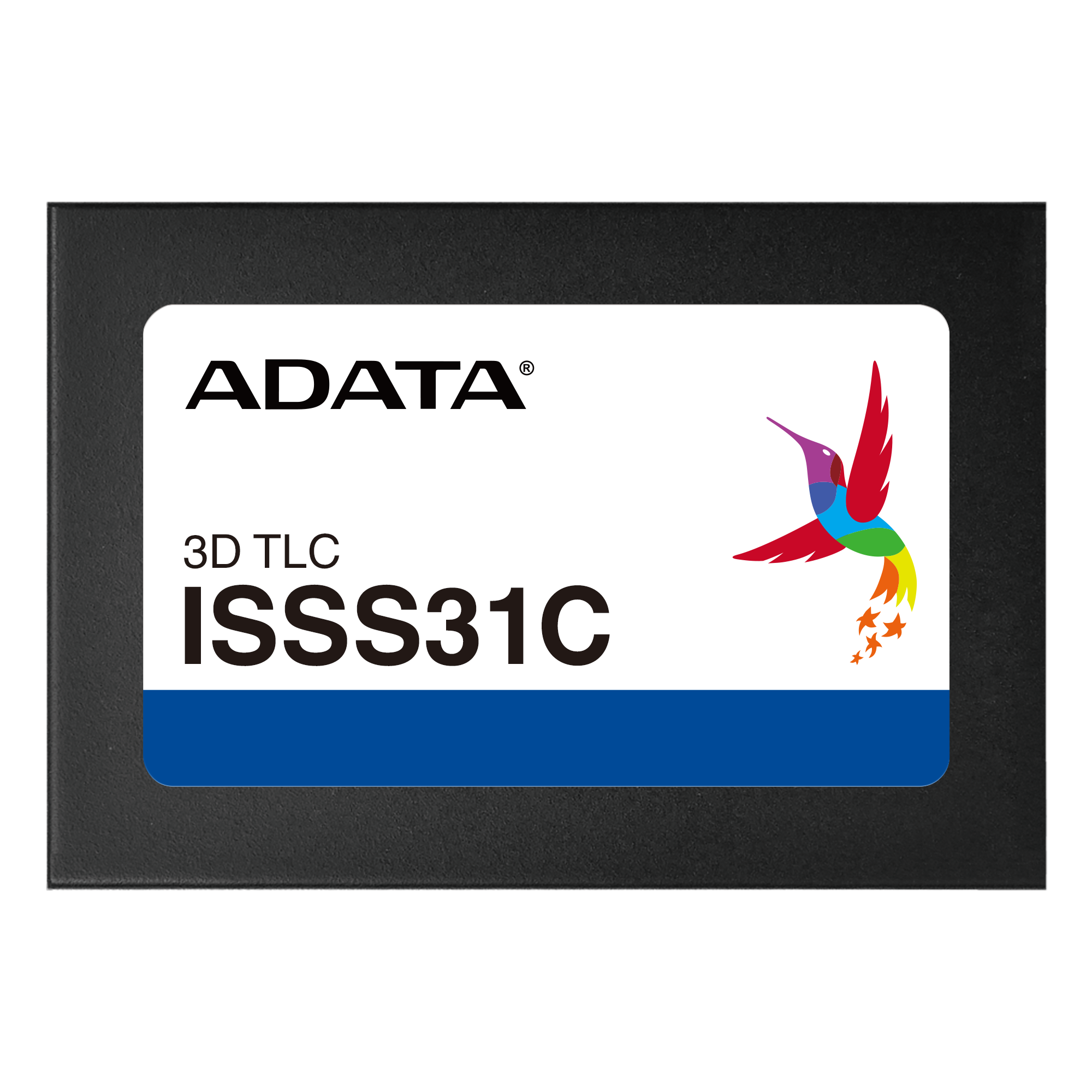 ISSS31C