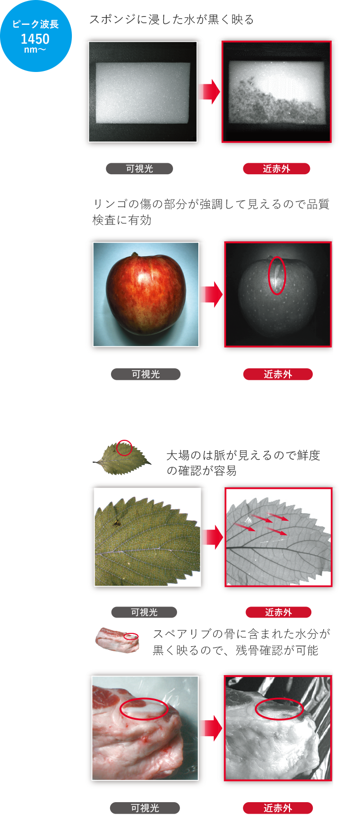 ir_04_sp.png