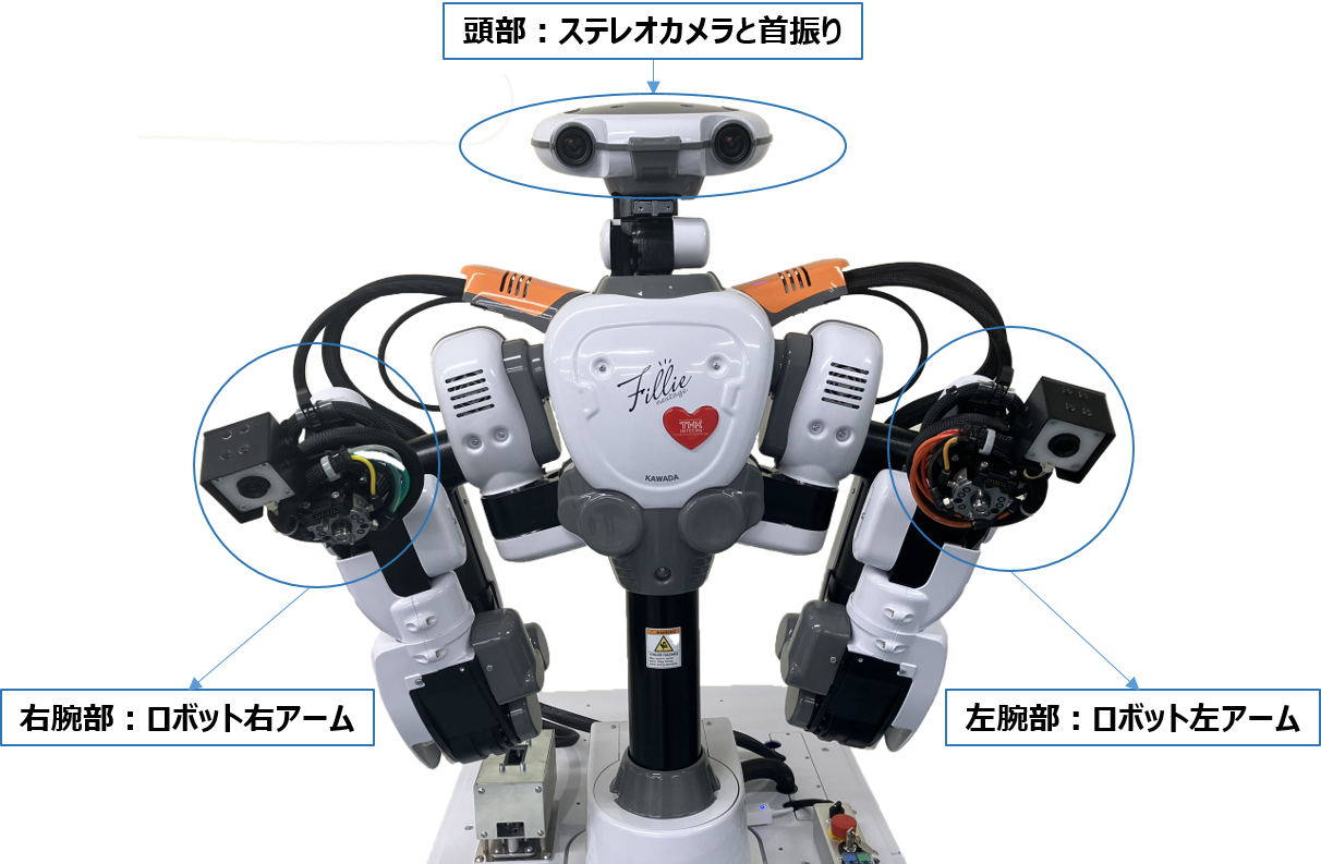 wf_robot_func.png