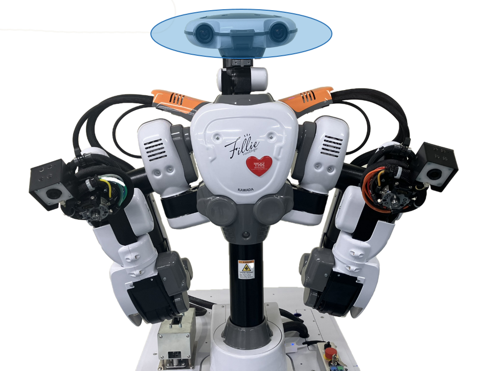 wf_robot_func_head.png
