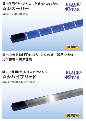 UV-LEDブラックライト BLACK☆STAR® | 株式会社飯田照明 | 照明 | 光学