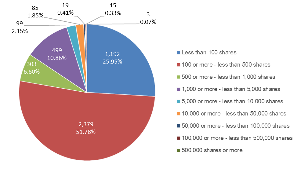stockholder_img_en_01.png